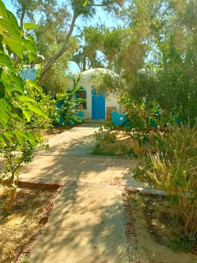 Panta Lodge Siwa Siwa Oasis Екстер'єр фото